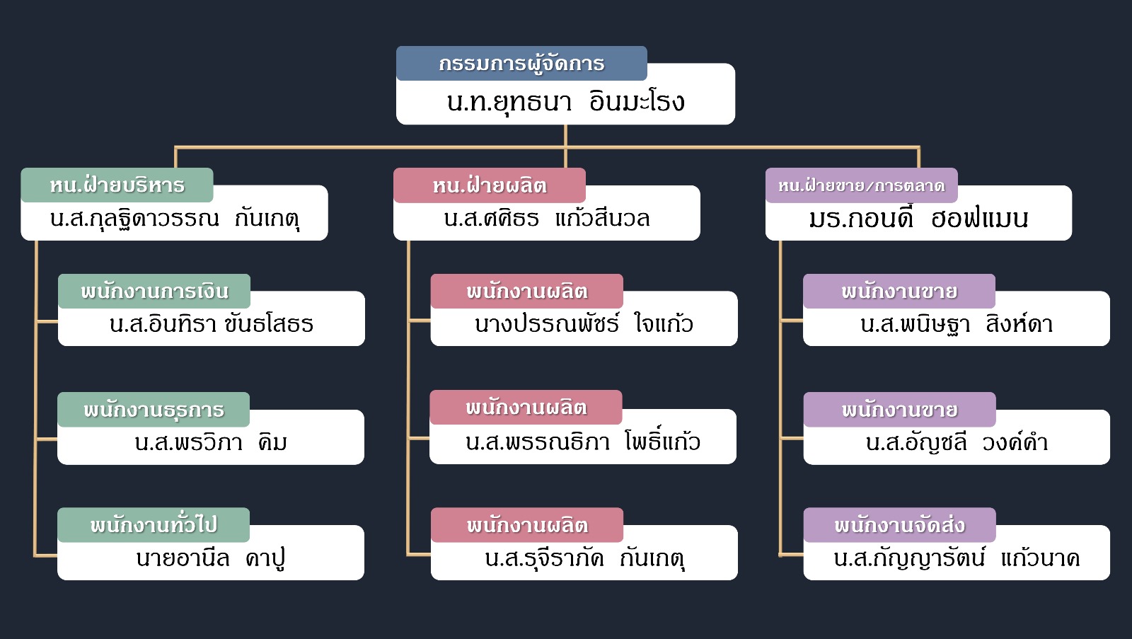 organization-chart-sept-2024-thai